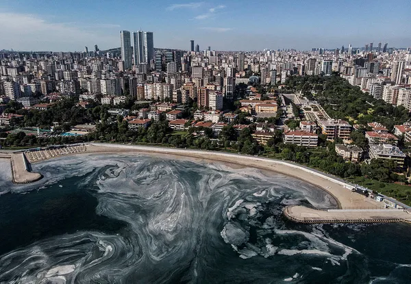 Müsilaj tehlikeli mi? Çevre ve Şehircilik Bakanlığından son dakika açıklaması!