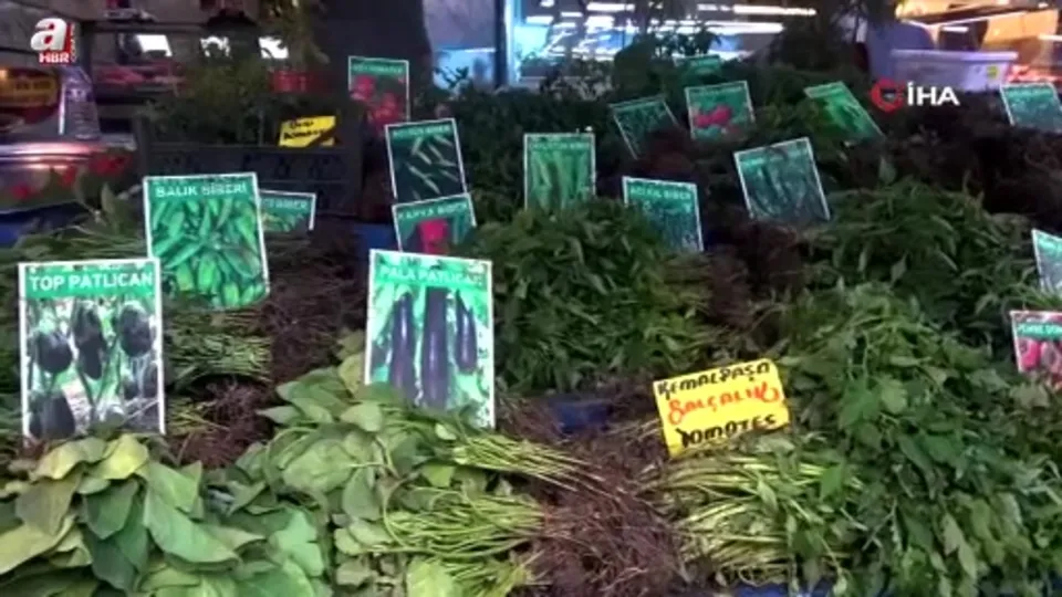 Hem ekonomik hem de organik