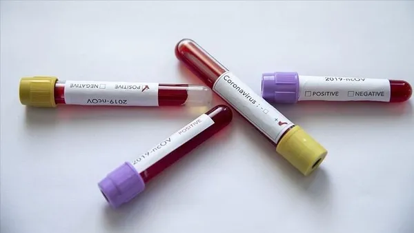 Koronavirüsle mücadele için alınan D vitamini hakkında flaş uyarı! D vitamini organları... - 5