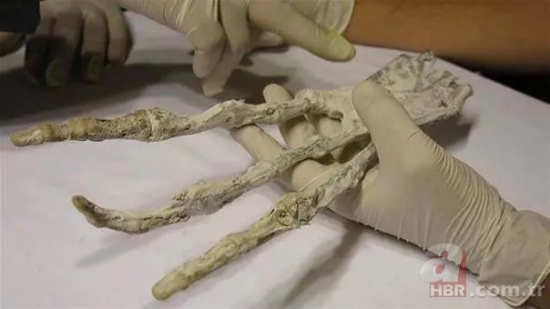 NASA'dan uzaylı itirafı 3