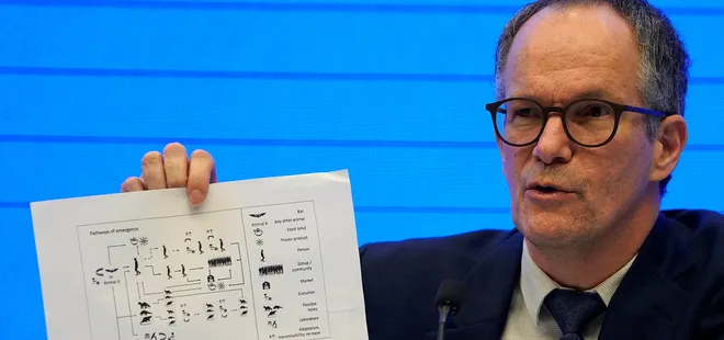 Son dakika: Koroanvirüs incelemesinin sonuçları açıklandı! Koronavirüs yarasadan mı çıktı?