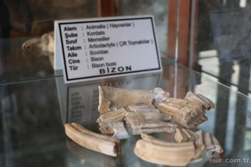 Şifa arayanların vazgeçilmezi: Kel çoban efsanesini duyan geliyor! 2