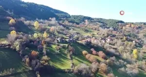 Kastamonu’da sonbaharın renkleri mest ediyor