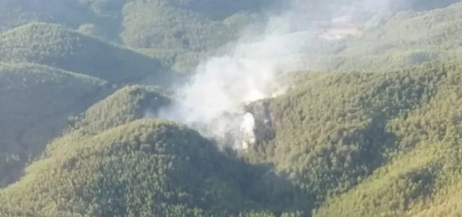 Son dakika: Muğla’da orman yangını! 1 hektar alan hasar gördü