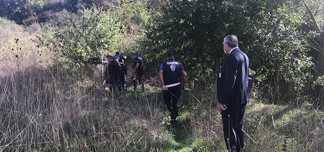İstanbul'da boz ayı alarmı! Havadan drone destekli arama yapıldı