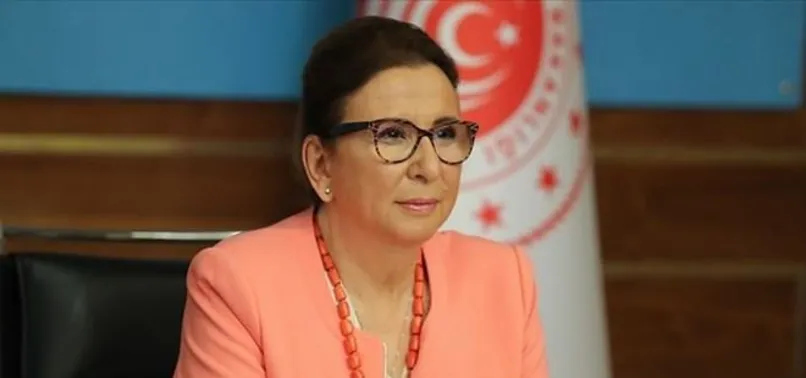 Son dakika: Bakan Pekcan duyurdu: Ciro Kaybı Desteği bugün başladı