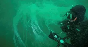 Marmara’da müsilaj tehlikesi! Geri mi dönüyor?