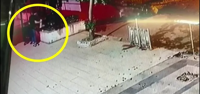 Kediyi tekmeleyip öldürmüştü! İstanbul’daki olayda son dakika gelişmesi