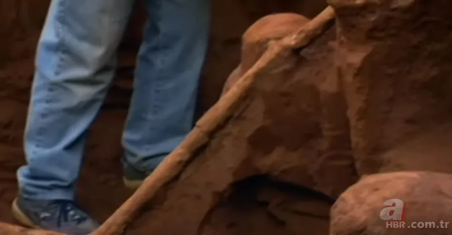 Karınca yuvasından sanat eseri çıktı 🐜 Vahşi doğanın usta mimarları! Otoban, yan yol ve patika bile yapmışlar 25