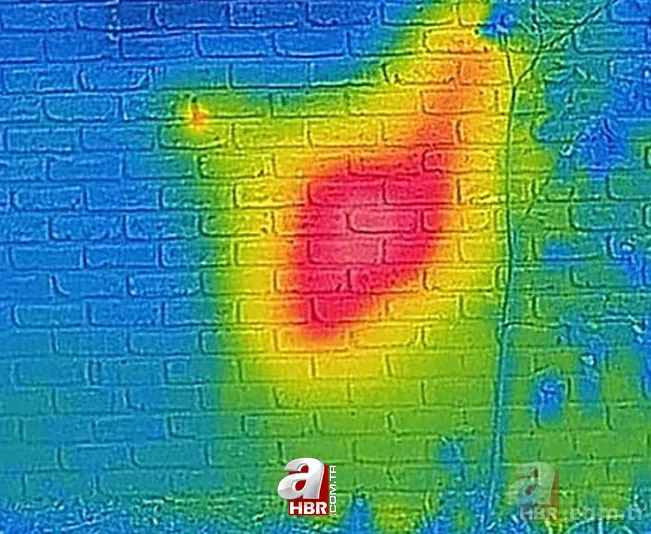 Evinin duvarından gelen garip sesler arttı! Termal kamerayla bakınca şoka girdi 1