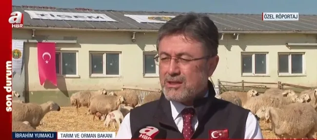 tarim-bakani-ibrahim-yumakli-a-habere-konustu-kirmizi-et-fiyatlari-manipule-ediliyor-1709220210838.jpg Tarım Bakanı İbrahim Yumaklı A Haber’e konuştu: Kırmızı et fiyatları manipüle ediliyor - 2