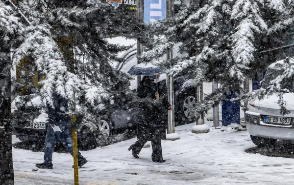 meteorolojiden-son-dakika-aciklamasi-donacagiz-yogun-kar-uyarisi-istanbulda-kar-yagisi-surecek-mi-16-subat-2021-hava-durumu-1613447436581.jpg Meteoroloji'den son dakika açıklaması! Donacağız! Yoğun kar uyarısı İstanbul'da kar yağışı sürecek mi? | 16 Şubat 2021 hava durumu - 4