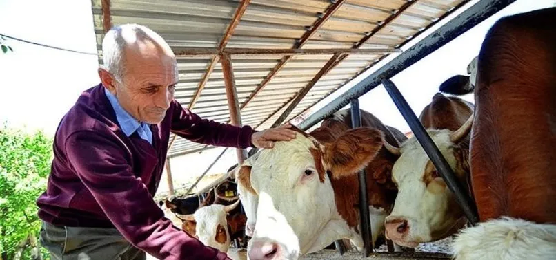 Kurban Bayramı ne zaman, ayın kaçında başlayacak? Arefe Günü ne zaman, hangi gün?