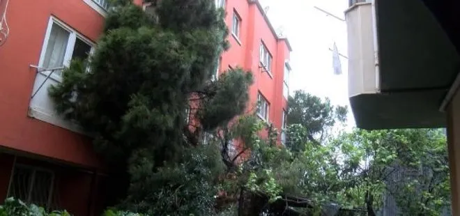 İstanbul’da devrilen ağacın dalları bir dairenin balkonundan içeri girdi
