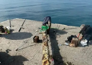 Balıkçının ağına takıldı! 3 ton ağırlığında…