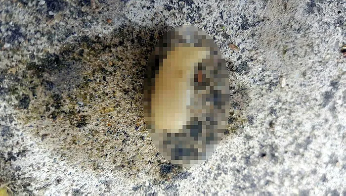 Tekirdağ’da akılalmaz olay! Bir fabrikada çalışan işçinin yemeğinden kopmuş parmak çıktı! - 1