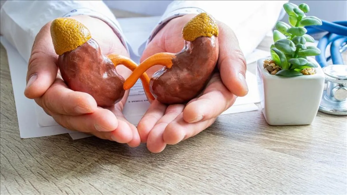 Fazla tuz tüketimi böbrek hastalığı nedeni!