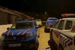 Bursa’da vahşet! Ormanda yakılmış halde bulundu