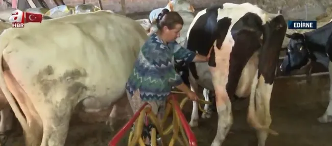 fox-tvnin-sut-hayvanciligi-algisi-curutuldu-sur-ureticileri-fox-tvye-tepki-gosterdi-1653997629182.jpg FOX TV’nin süt hayvancılığı algısı çürütüldü! Sür üreticileri FOX TV’ye tepki gösterdi - 2