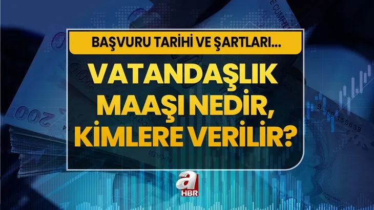 2023 vatandaşlık maaşı nasıl alınır, şartları neler? Vatandaşlık maaşı nedir, kimlere verilir? Başvuru ekranı...