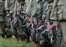PKKnın tasfiyesinde eş zamanlılık modeli