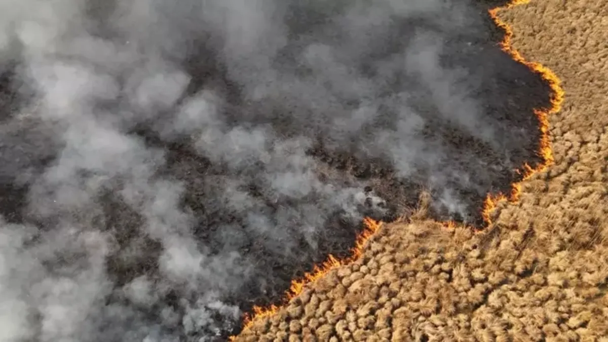Hakkari'deki Nehil Sazlığı'nda 7 Kasım'da çıkan yangın söndürüldü