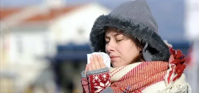 Prof. Dr. Mehmet Ceyhan: Türkiye’de grip salgını yok