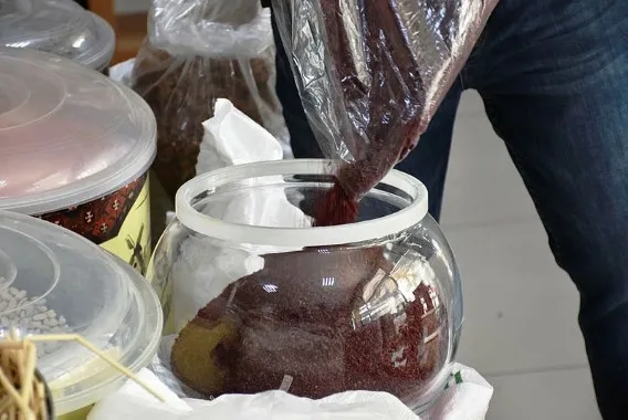 “Coronavirüse iyi geliyor” söylentisiyle satışları artan sumakla ilgili, uzmanlardan uyarı - 1