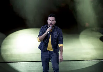 Tarkan susma, zeytin ağacı dik