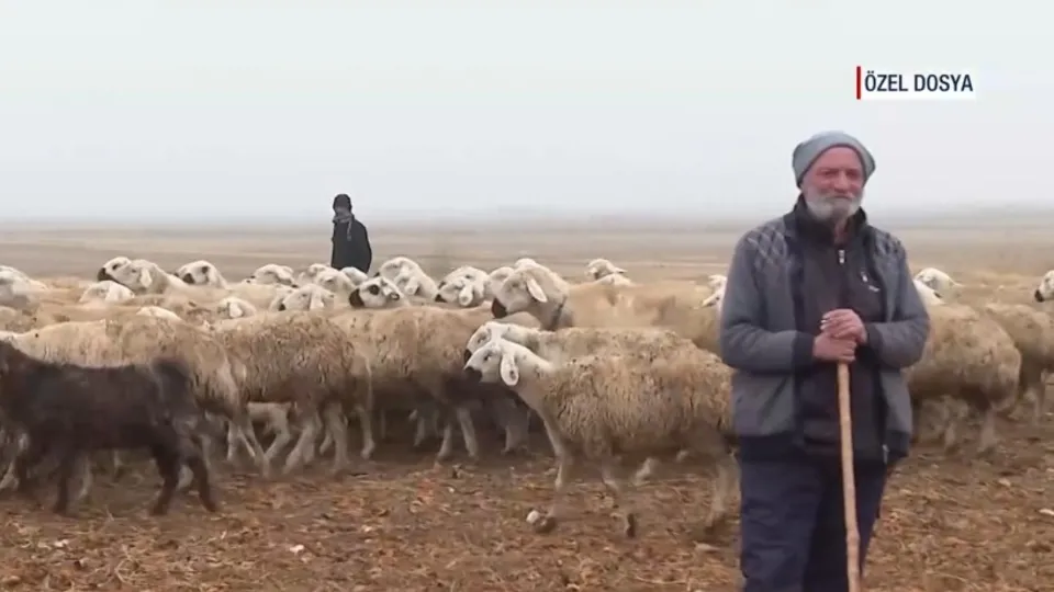 58 yaşındaki çobanın bir günü