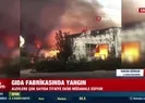Gıda fabrikasında yangın