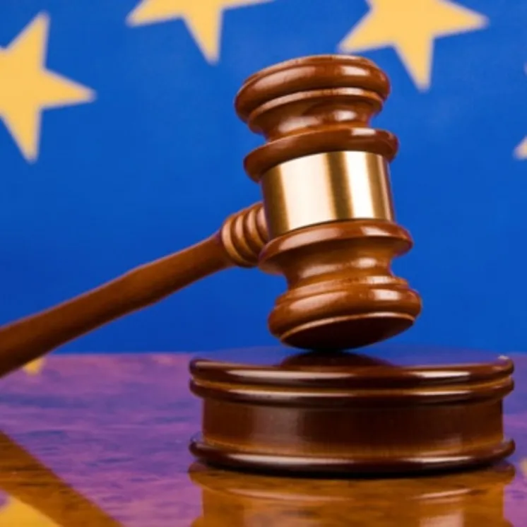 AİHMden Türk yargısının kararına büyük saygısızlık!