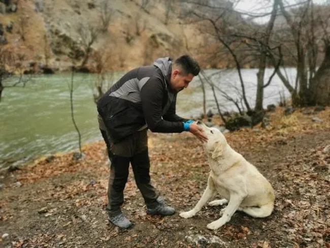 Tunceli’de köpeği kurtarmak için gözünü bile kırpmadan buz gibi suya atladı - 2