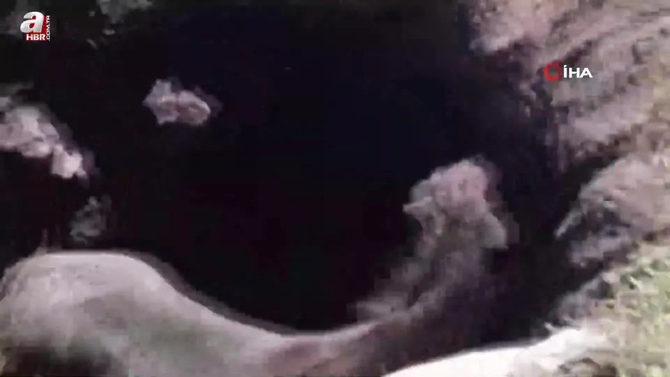 Kars’ta kuyuya düşen atı böyle kurtardılar