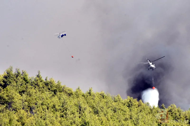 Muğla'dan art arda yangın haberleri! Köylüler evlerini terk ediyor 17