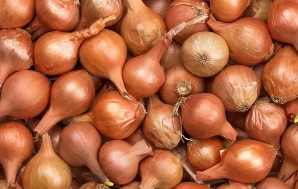 Fahiş fiyat artışında dikkat çeken rakamlar! Tam 3,5 kat