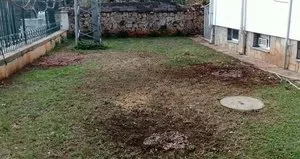 Ağaçları kesip kezzap döktüler iddiası