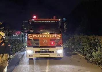 Beykoz'da ormanlık alanda yangın paniği! Alevler büyümeden kontrol altına alındı