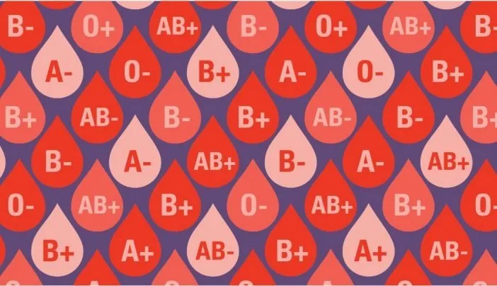 En zeki kan grubu açıklandı! Bu kişilerin IQ’su yüksek çıkıyor! A Rh +, 0 Rh -, AB, B, 0 kan grubu özellikleri...