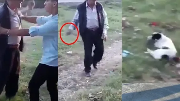 Kocaeli'de yaşlı adam köpeğe ve kendine engel olmaya çalışan çocuğa taş attı - 1