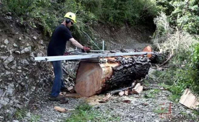 Yol yapımı sırasında bulundu! Milyonlarca yıllık… 13