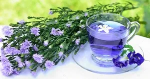 Böbrekleri bile koruyor