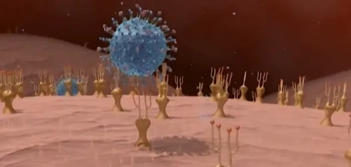 DSÖ çalışmalara başladı! Kovid-19’un kökenlerini Vuhan’da araştıracak