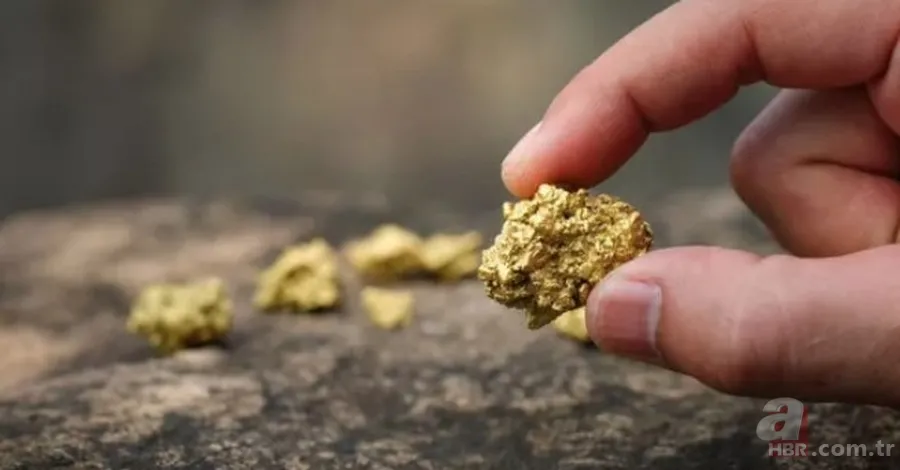 Hobi olarak başladı haftalık 16.333,45 TL kazanıyor! Günde gram gram altın topluyor! 2