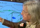 Türkiyede hangi bölgelerde deprem riski daha fazla? Uzman isim A Haberde yanıtladı! İşte Türkiyede deprem riski haritası