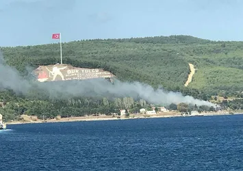 Çanakkale'de orman yangını
