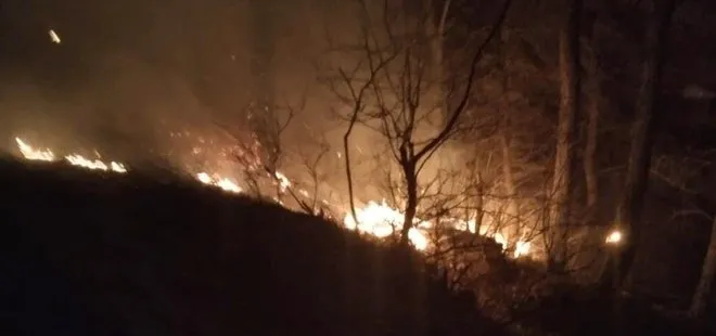 Son dakika: Osmaniye’de orman yangını