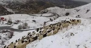 Hakkari’de kar yağışı