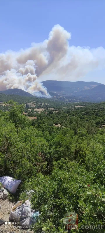 Balıkesir Kepsut'ta orman yangını! Havadan ve karadan müdahale ediliyor 1