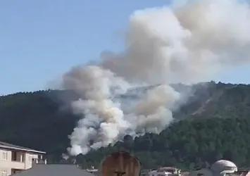 Son dakika: İstanbul'da orman yangını! Valilikten açıklama geldi